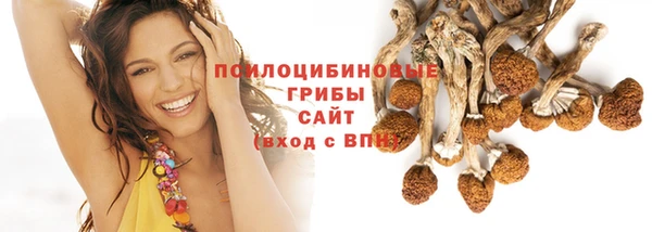 стафф Алексин