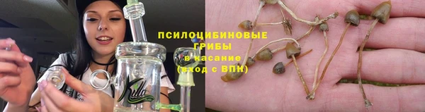 стафф Алексин