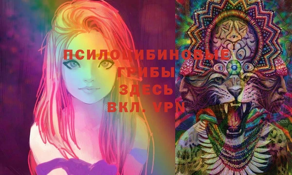 стафф Алексин
