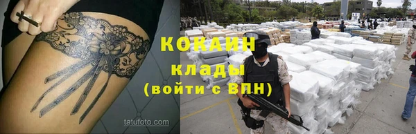 стафф Алексин