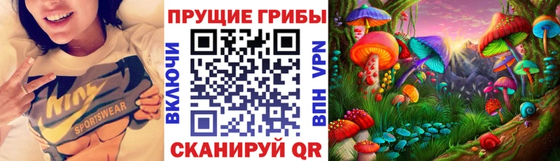 Псилоцибиновые грибы Psilocybine cubensis  Сенгилей 